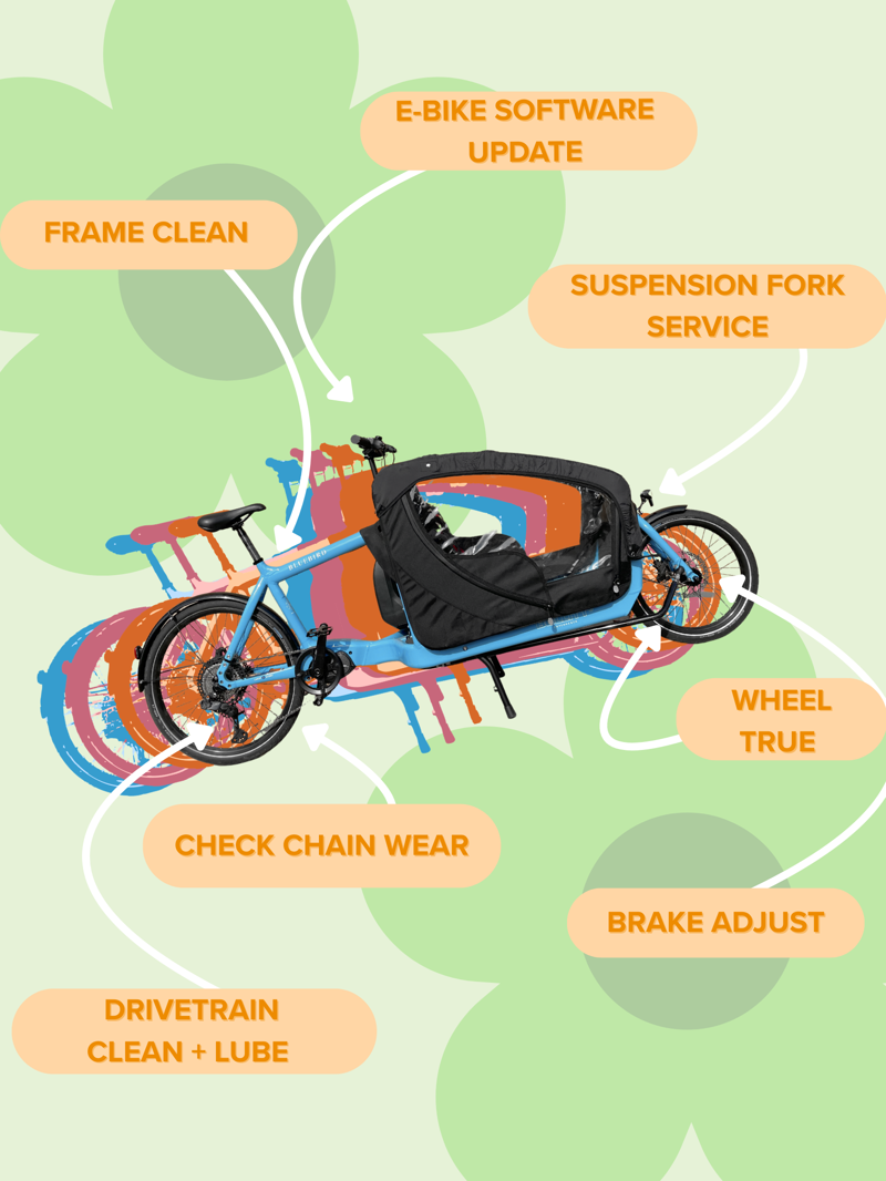 Spring Tune Up Services: Frame Clean, Drivetrain Clean, Wheel True, Brake Adjust, Suspension Fork Service, Check Chain Wear, Check/Inflate Tires, Adjust Shifting